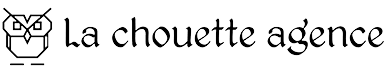 Logo de l'agence web : La chouette agence